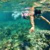 Snorkeling-activity