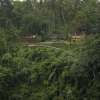 Bali_Alila_Ubud_10