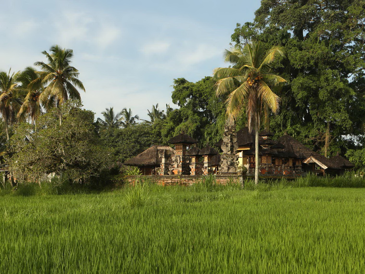 Bali_Alila_Ubud_17