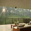 Bali_Alila_Ubud_Terrace_Tree_4