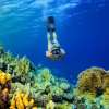 1_Day_Komodo_Archipelago_Sail_on_Board_and_Snorkeling_Tour_with_Private_Boat _6