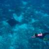 3 Day Komodo Sail on Board 7