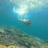 3 Day Komodo Sail on Board 9