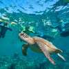 Private 4 Day Komodo Sail on Board with Phinisi Boat & Snorkeling Tour 4