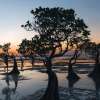 Exotic Sumba Island in 3 Days Beach, Hills, and Waterfall Private Tour 2