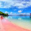Private 4 Day Sailing Komodo with Regular Boat & Snorkeling Tour 12