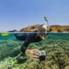 Private 4 Day Sailing Komodo with Regular Boat & Snorkeling Tour 17