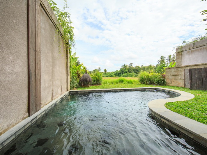 Tejaprana Bisma Ubud 57