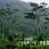 Private Bandung Tangkuban Perahu Volcano Tour from Bandung 10