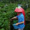 Private Bandung Tangkuban Perahu Volcano Tour from Bandung 12