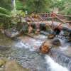 Private Bandung Tangkuban Perahu Volcano Tour from Bandung 8