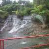 Private Bandung Tangkuban Perahu Volcano Tour from Bandung 9