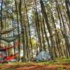 @jogjadf-IMOGIRI-PINE-FOREST-600×400