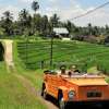 Eastern Bali VW Jeep Tour 9