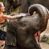 Elephant Mud Fun Experience 1