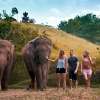 Elephant Mud Fun Experience 5
