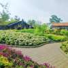 Farm-House-Lembang-Tour-4-600×450