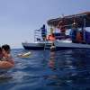 Gili Hai Morning Snorkeling Pantoons 1