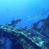 baliusatlibertywreckdive10-600×450
