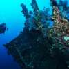 baliusatlibertywreckdive2-600×450