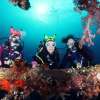 baliusatlibertywreckdive3-768×576