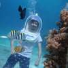gilitrawanganseawalker5-600×450