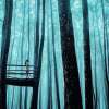pineforest2-600×450