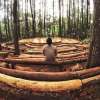 pineforest3-600×450
