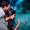 Aristocat Bali Hai Cruise with Diving in Nusa Lembongan 10