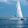 Aristocat Bali Hai Cruise with Diving in Nusa Lembongan 5