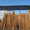 Bali Bamboo Village Tour 4