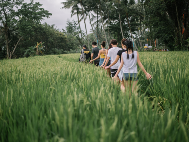 Bali Bongkasa Village Trekking Tour 1