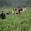Bali Bongkasa Village Trekking Tour 5
