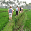 Bali Bongkasa Village Trekking Tour 8