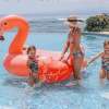 Bali Butterfly Park and Flamingo Beach Club 2