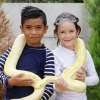 Bali Butterfly Park and Flamingo Beach Club 23
