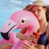 Bali Butterfly Park and Flamingo Beach Club 5
