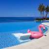 Bali Butterfly Park and Flamingo Beach Club 8