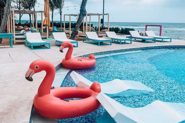 Bali Butterfly Park and Flamingo Beach Club 9