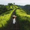 Bali Campuhan Ridge Walk, Goa Gajah, Tegenungan Waterfall Day Tour 9