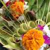 Bali Lontar Palm Leaf Weaving Class 4
