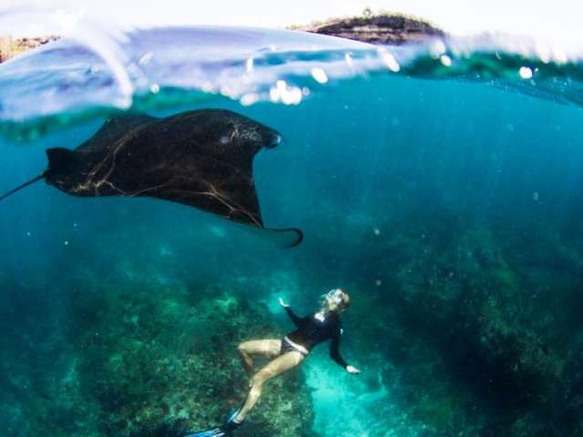 Bali Nusa Penida Snorkeling Tour with Four Spots 13