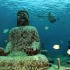 Bali Nusa Penida Snorkeling Tour with Four Spots 6