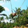 Bali Terrace River Pool Swing 6