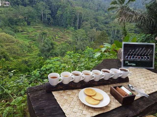 COFFEE PLANTATION- UBUD DAY TOUR 13