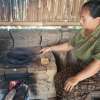 COFFEE PLANTATION- UBUD DAY TOUR 5