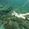 10 Kuta Beach Snorkeling Near Me