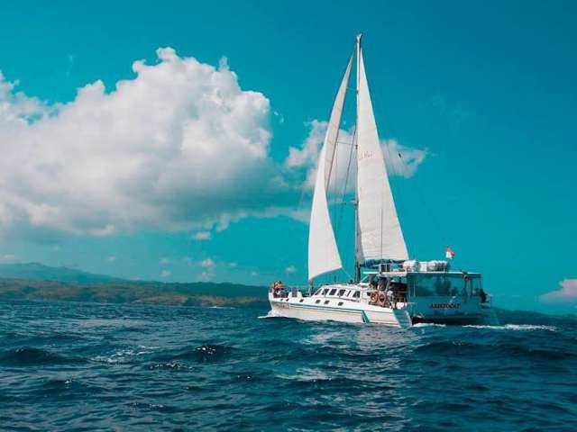 Castaway Escape by Bali Hai Cruises with Diving Experience 3