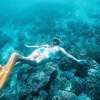 Affordable Kuta Beach Snorkeling Traveller
