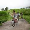 Jatiluwih-Cycling-4-600×450
